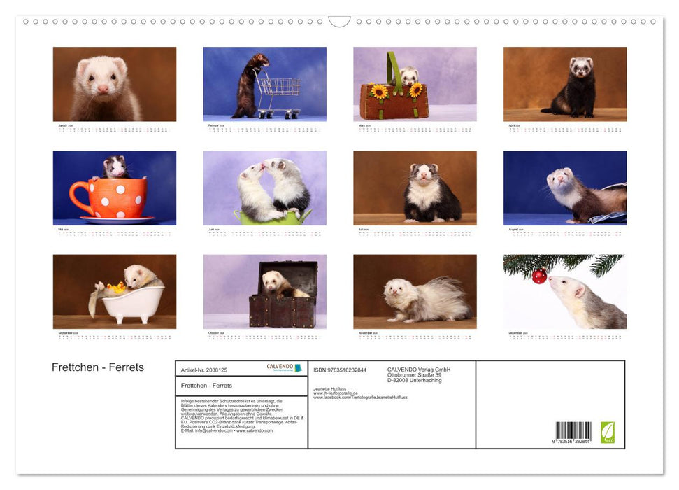 Frettchen - Ferrets (CALVENDO Wandkalender 2026)