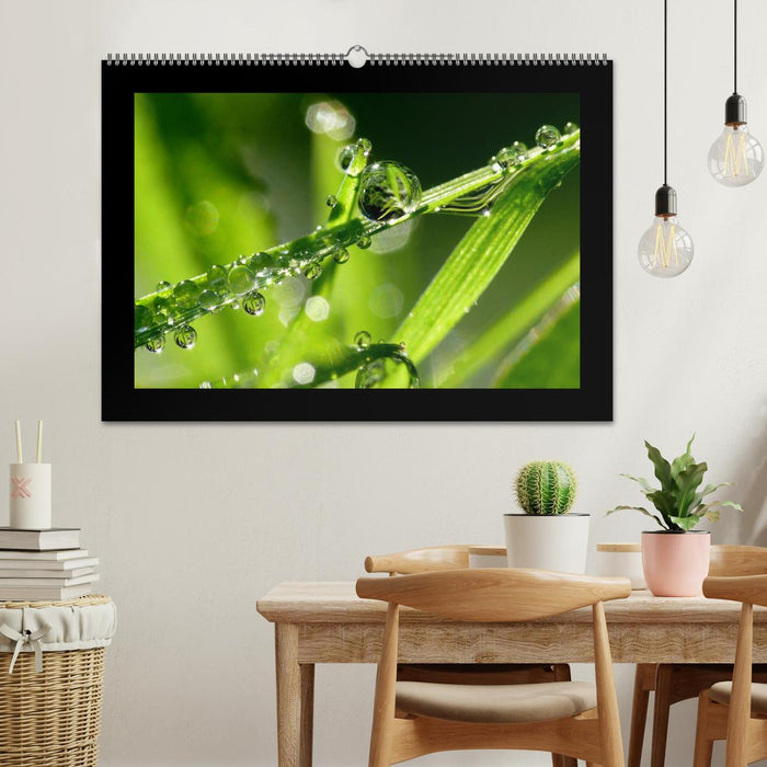 Meine kleine grüne Wassertropfen Welt (CALVENDO Wandkalender 2026)