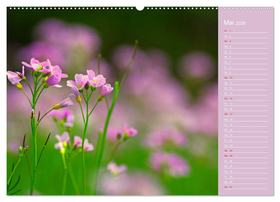 Blumenfreude (CALVENDO Wandkalender 2026)
