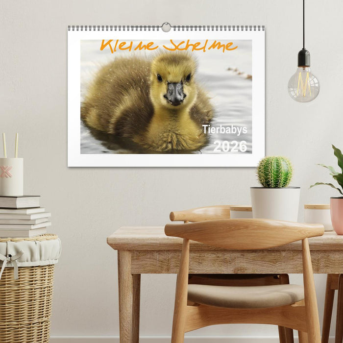 Kleine Schelme - Tierbabys (CALVENDO Wandkalender 2026)