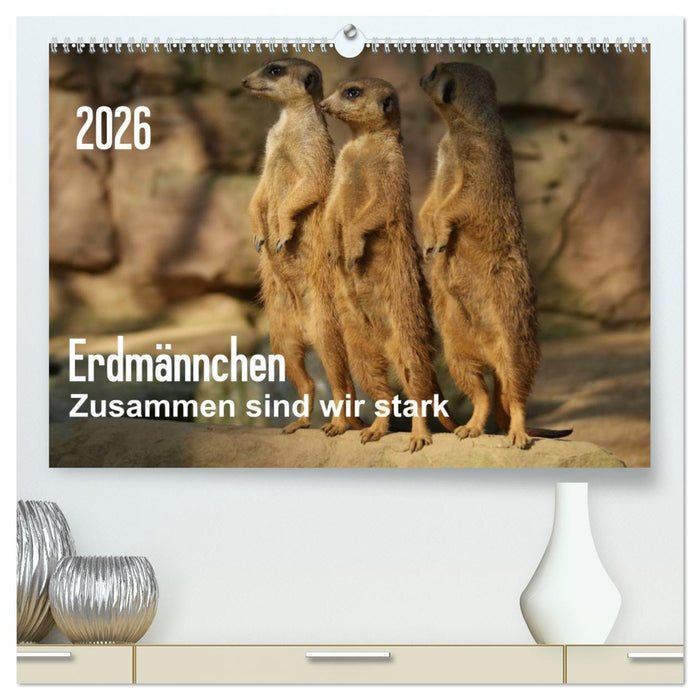 Erdmännchen – Zusammen sind wir stark (CALVENDO Premium Wandkalender 2026)