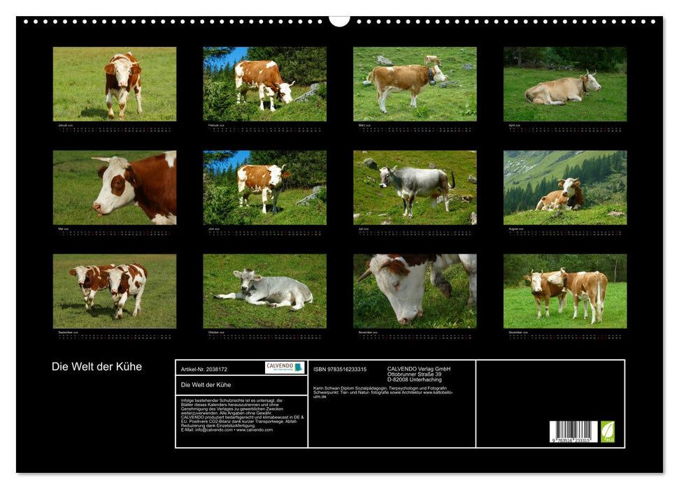 Die Welt der Kühe (CALVENDO Wandkalender 2026)