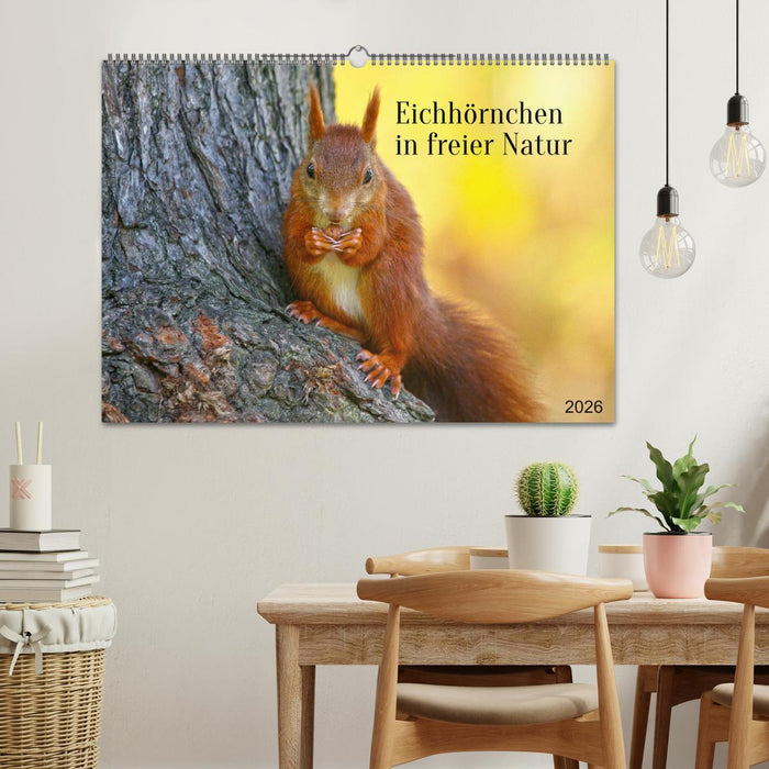 Eichhörnchen in freier Natur (CALVENDO Wandkalender 2026)