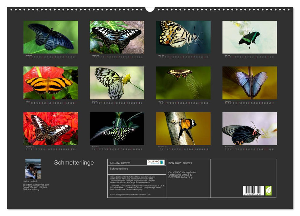 Schmetterlinge (CALVENDO Wandkalender 2026)