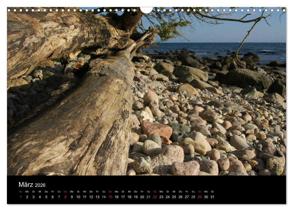 Rügen (CALVENDO Wandkalender 2026)