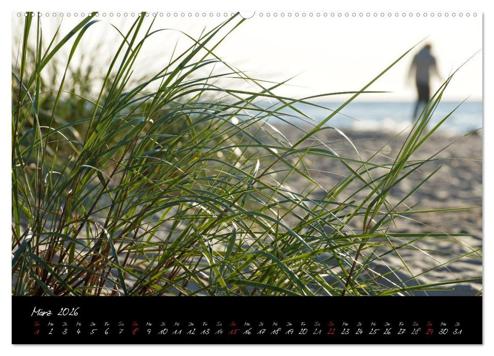 Ostsee-Strand (CALVENDO Wandkalender 2026)