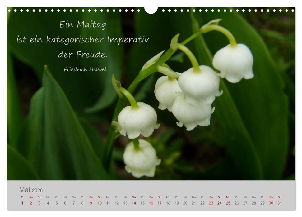 Jahres-Zeiten (CALVENDO Wandkalender 2026)