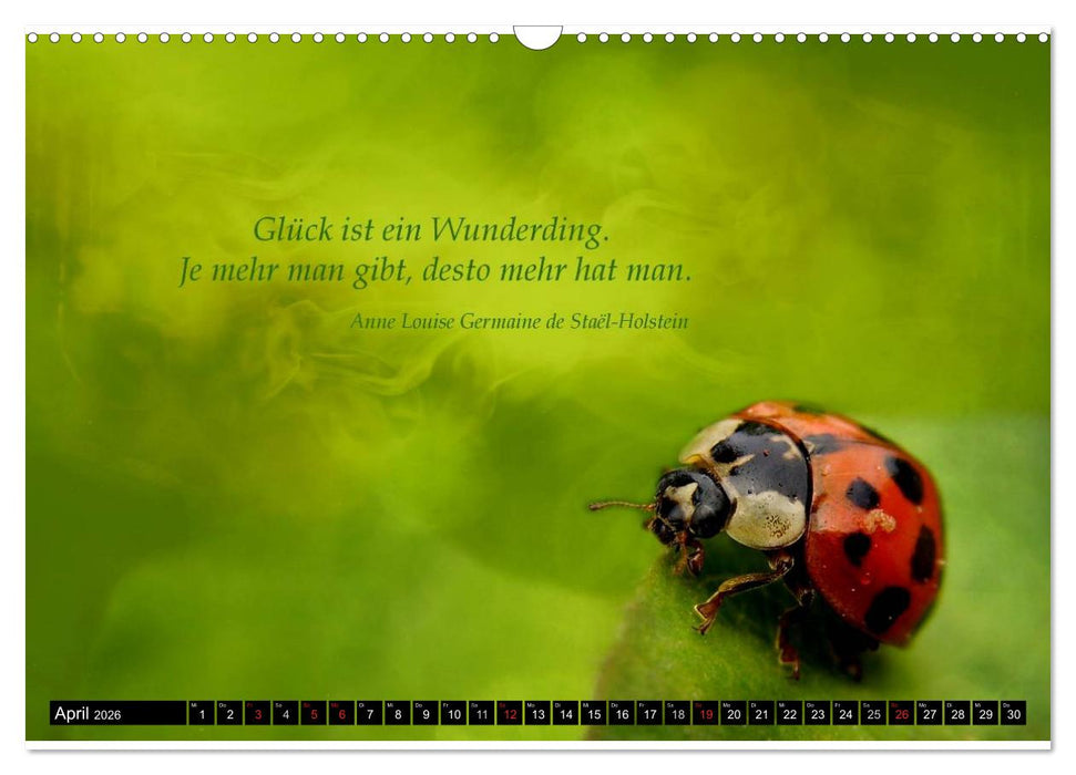 Das kleine, große Glück (CALVENDO Wandkalender 2026)