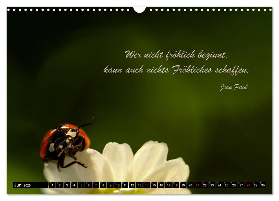 Das kleine, große Glück (CALVENDO Wandkalender 2026)