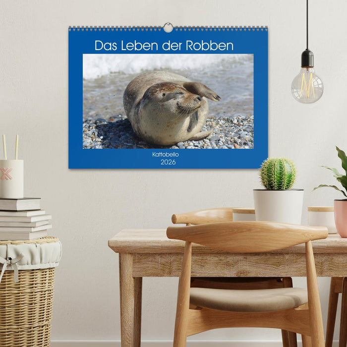 Das Leben der Robben (CALVENDO Wandkalender 2026)