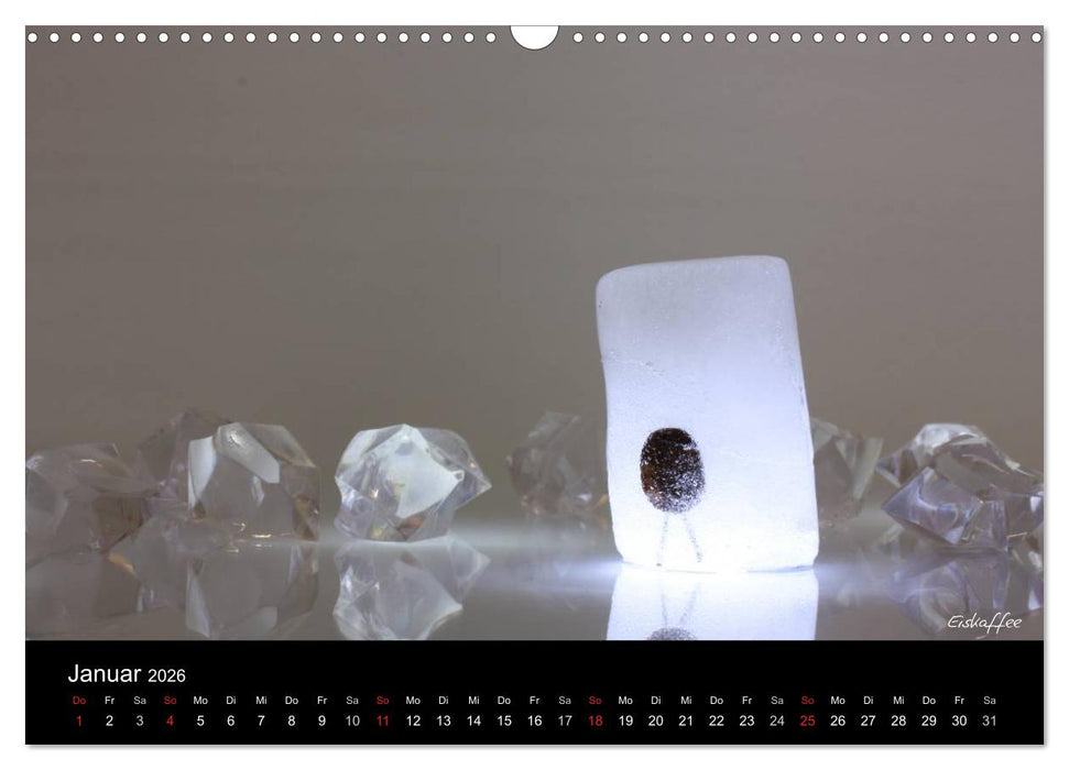 Kaffeefahrt 2026 DIN A4 Querformat (CALVENDO Wandkalender 2026)