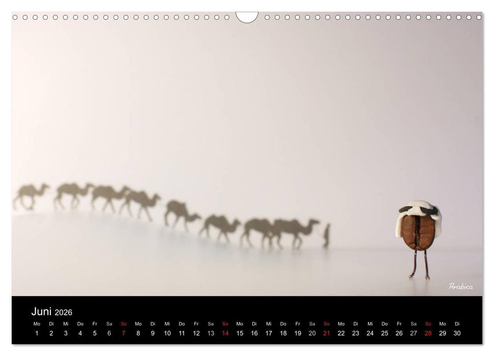 Kaffeefahrt 2026 DIN A4 Querformat (CALVENDO Wandkalender 2026)