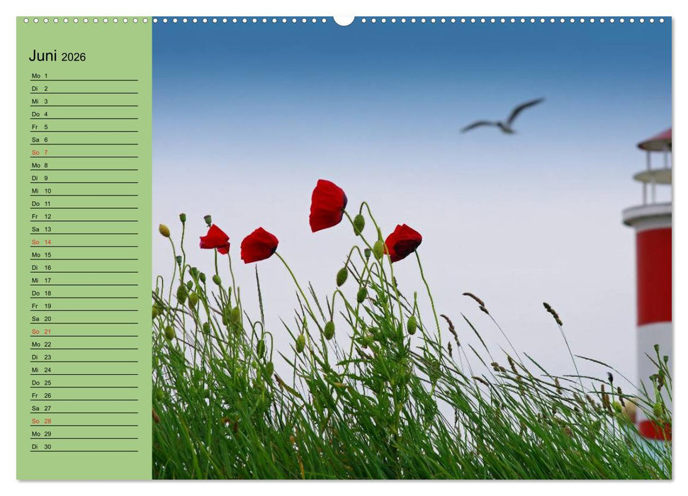Mohnblumen Träume (CALVENDO Wandkalender 2026)