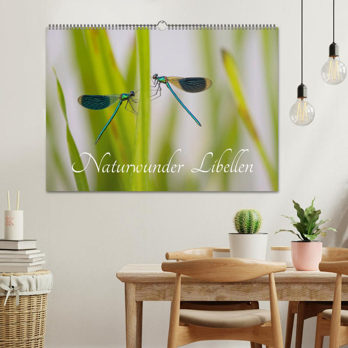 Naturwunder Libellen (CALVENDO Wandkalender 2026)