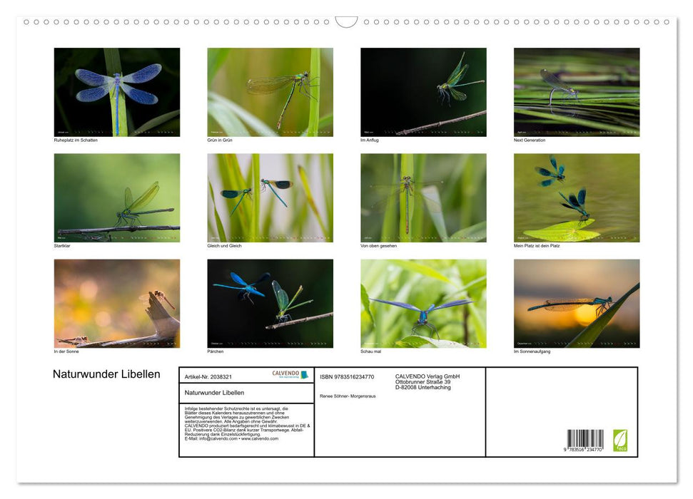 Naturwunder Libellen (CALVENDO Wandkalender 2026)