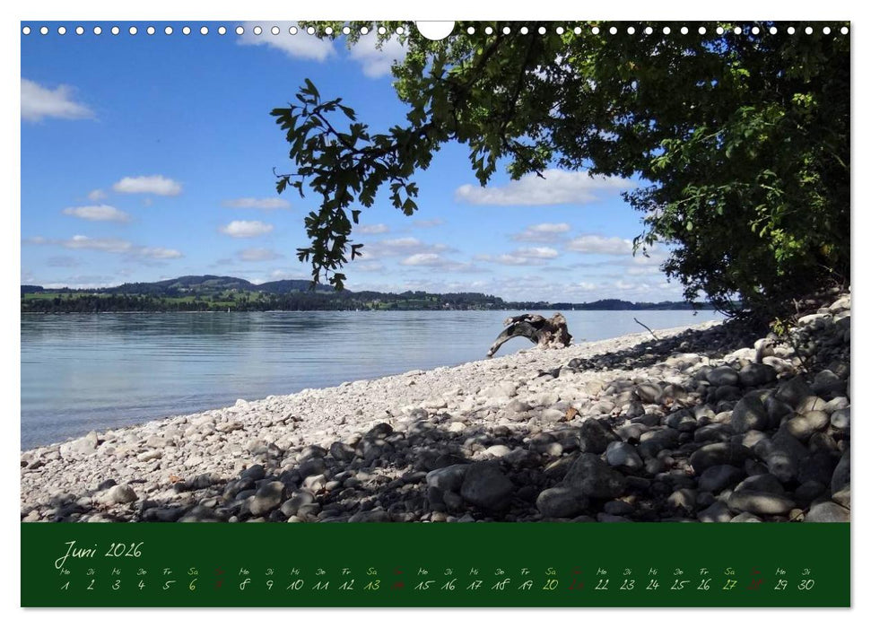 Im Allgäu (CALVENDO Wandkalender 2026)