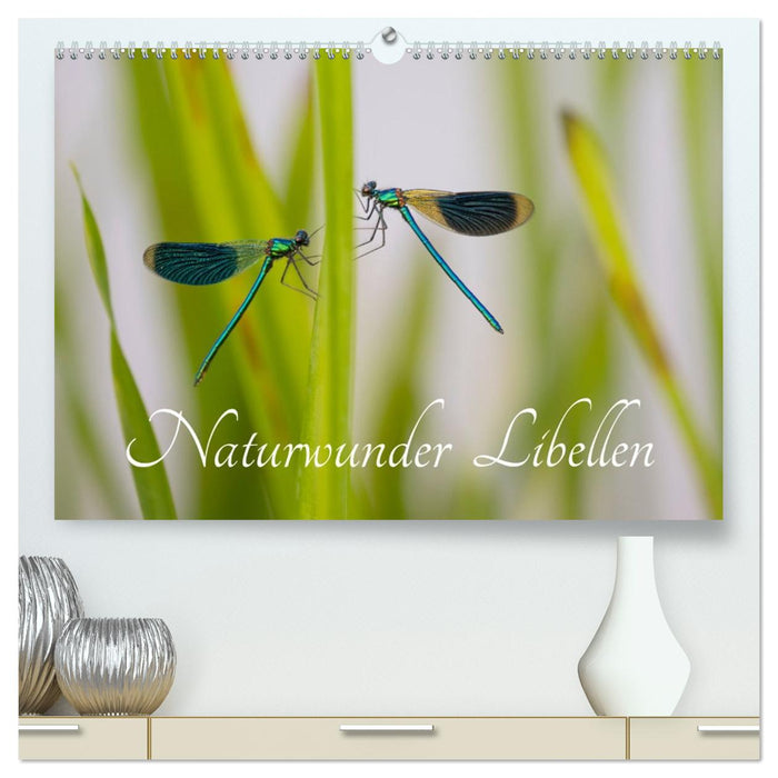Naturwunder Libellen (CALVENDO Premium Wandkalender 2026)