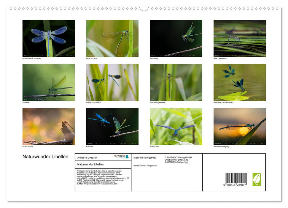 Naturwunder Libellen (CALVENDO Premium Wandkalender 2026)