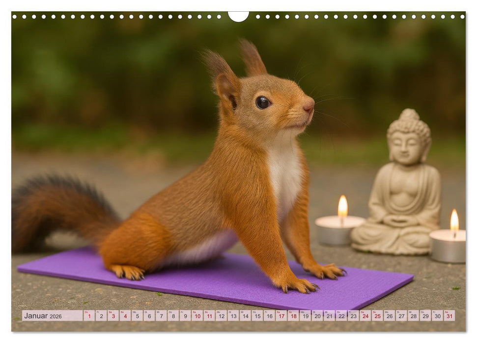 Die geheime Welt der Eichhörnchen (CALVENDO Wandkalender 2026)