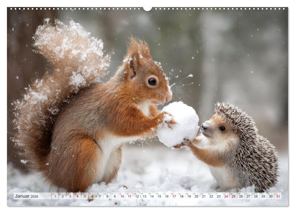 Hazelnuts Abenteuer (CALVENDO Wandkalender 2026)