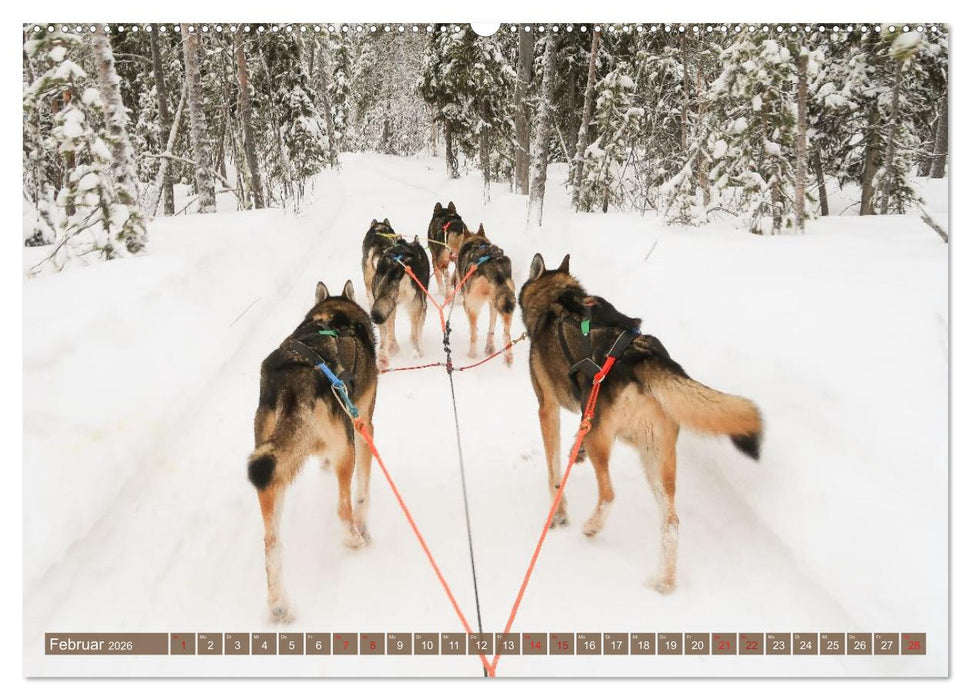 Finnisch Lappland (CALVENDO Wandkalender 2026)