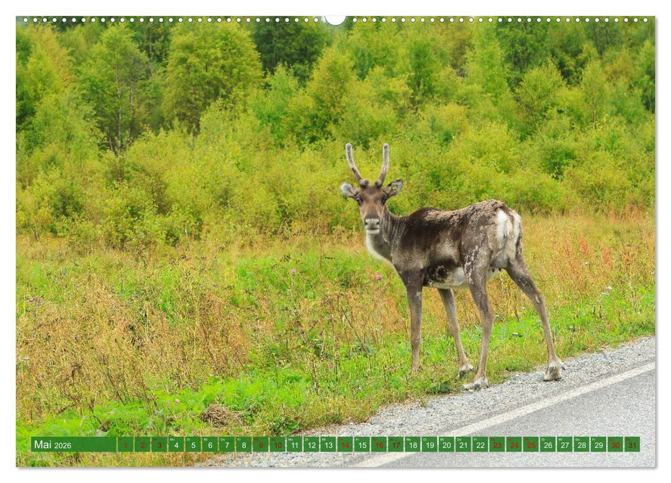 Finnisch Lappland (CALVENDO Premium Wandkalender 2026)
