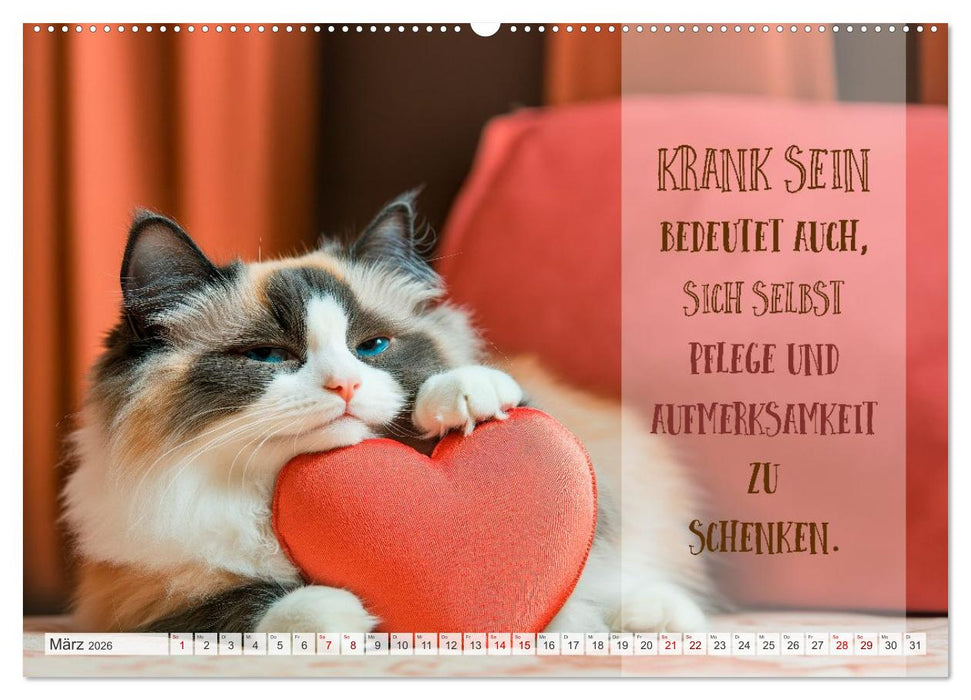 Herzliche Wünsche zur Genesung (CALVENDO Wandkalender 2026)