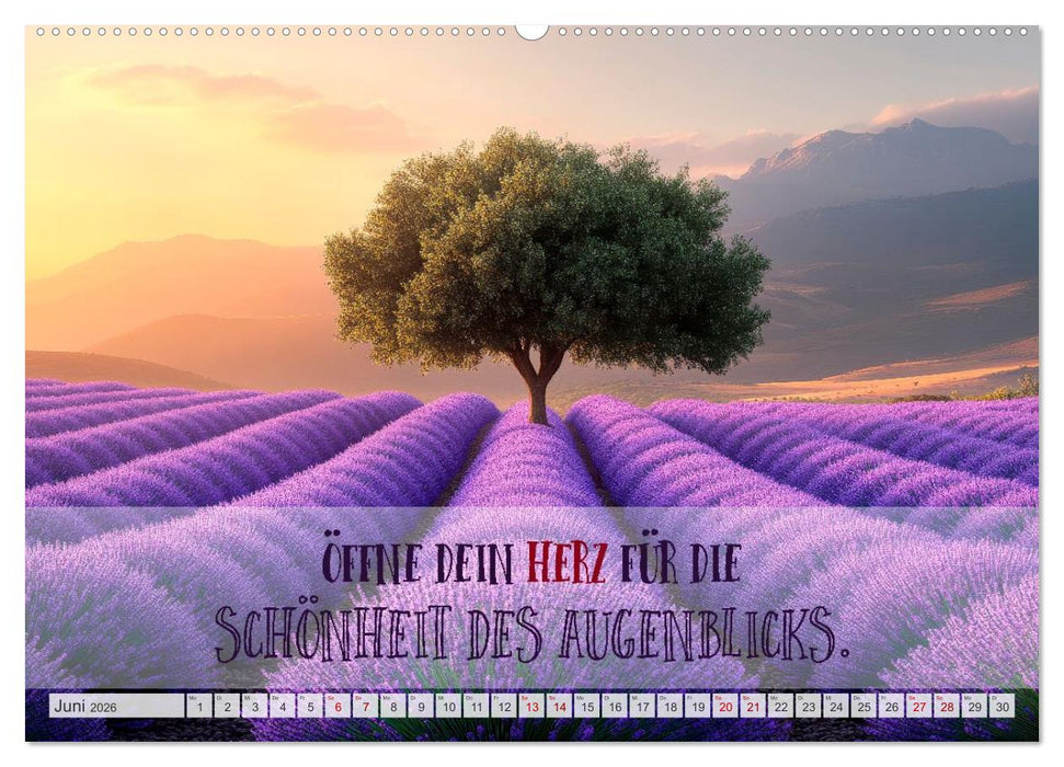 Herzliche Wünsche zur Genesung (CALVENDO Wandkalender 2026)