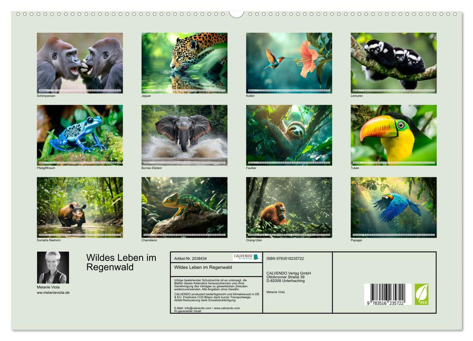 Wildes Leben im Regenwald (CALVENDO Premium Wandkalender 2026)