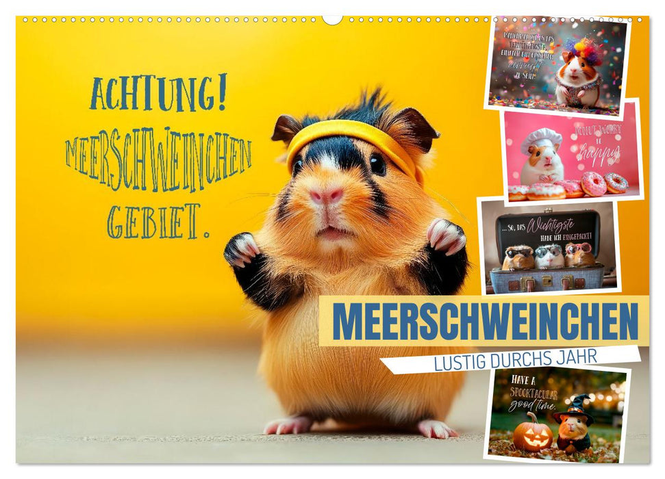 Meerschweinchen LUSTIG DURCHS JAHR (CALVENDO Wandkalender 2026)