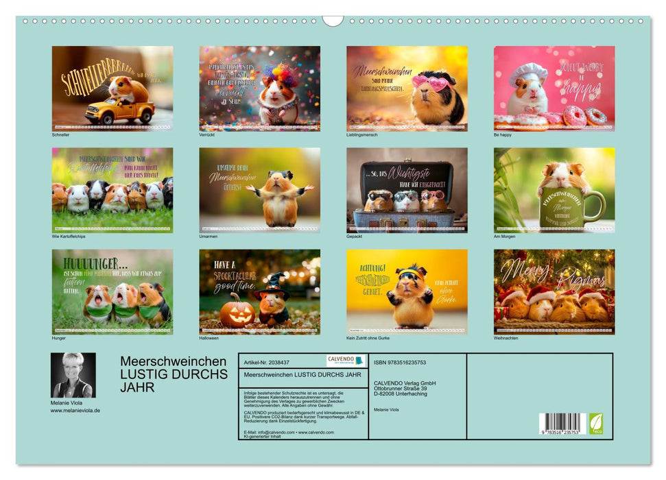 Meerschweinchen LUSTIG DURCHS JAHR (CALVENDO Wandkalender 2026)