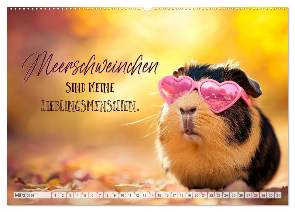 Meerschweinchen LUSTIG DURCHS JAHR (CALVENDO Wandkalender 2026)
