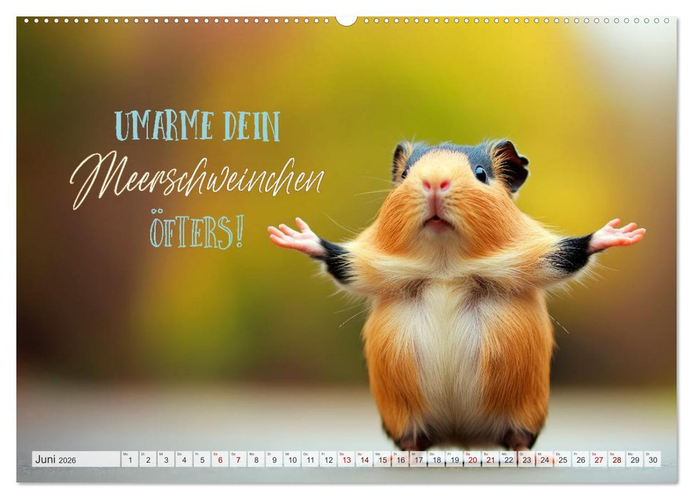 Meerschweinchen LUSTIG DURCHS JAHR (CALVENDO Wandkalender 2026)