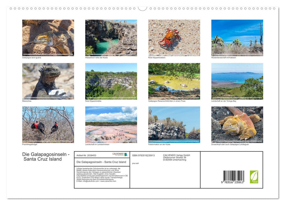 Die Galapagosinseln - Santa Cruz Island (CALVENDO Premium Wandkalender 2026)