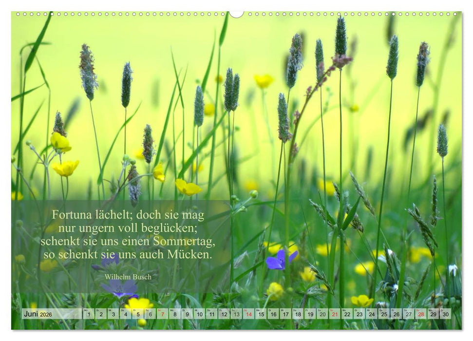 Weises (CALVENDO Wandkalender 2026)