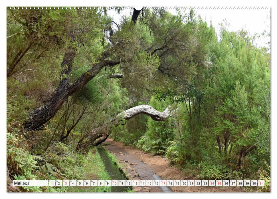 MADEIRA, Trauminsel im Atlantik (CALVENDO Premium Wandkalender 2026)