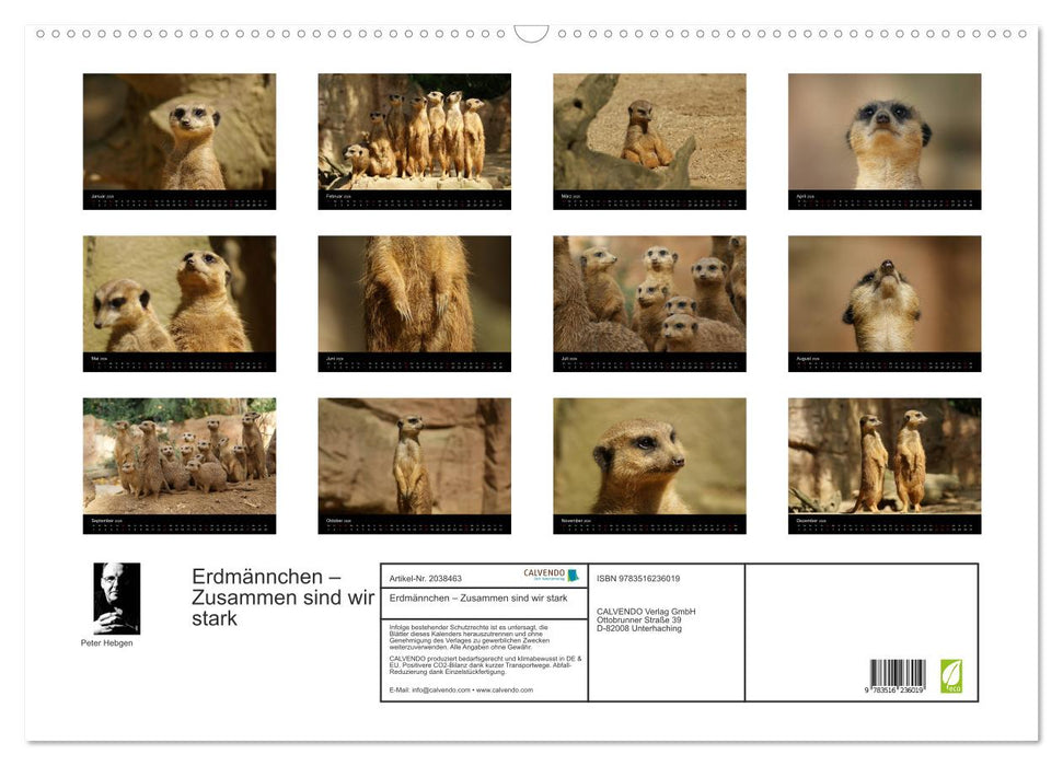 Erdmännchen – Zusammen sind wir stark (CALVENDO Wandkalender 2026)