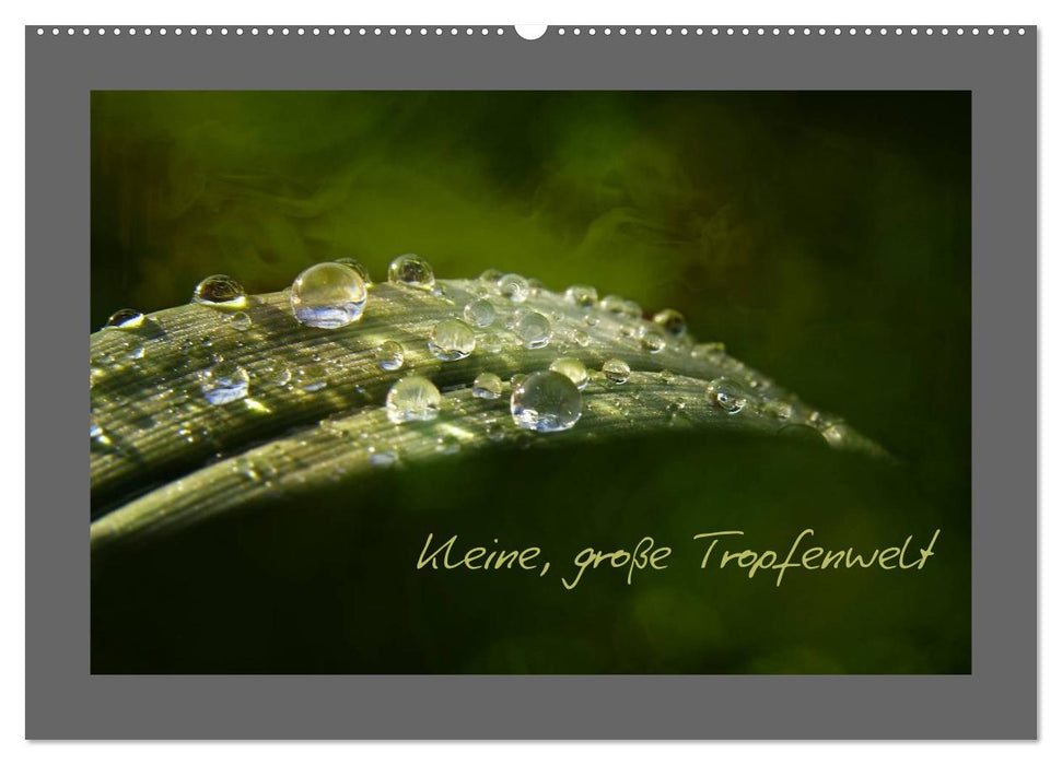 Kleine, große Tropfenwelt (CALVENDO Wandkalender 2026)