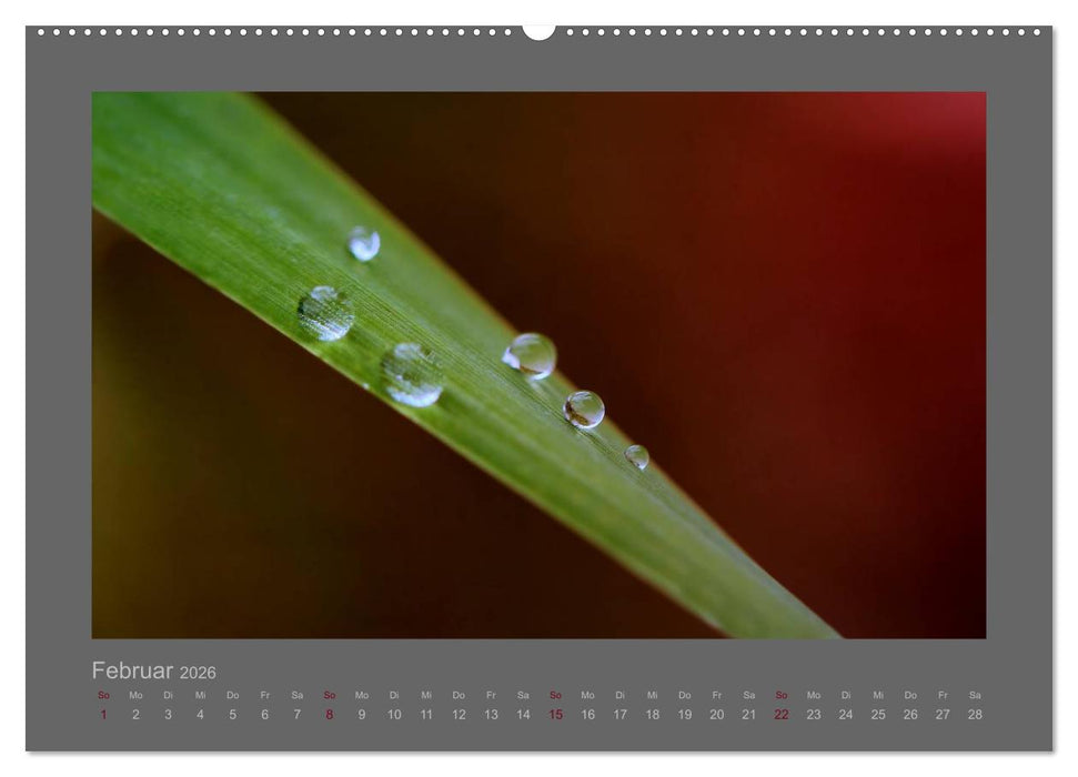 Kleine, große Tropfenwelt (CALVENDO Wandkalender 2026)