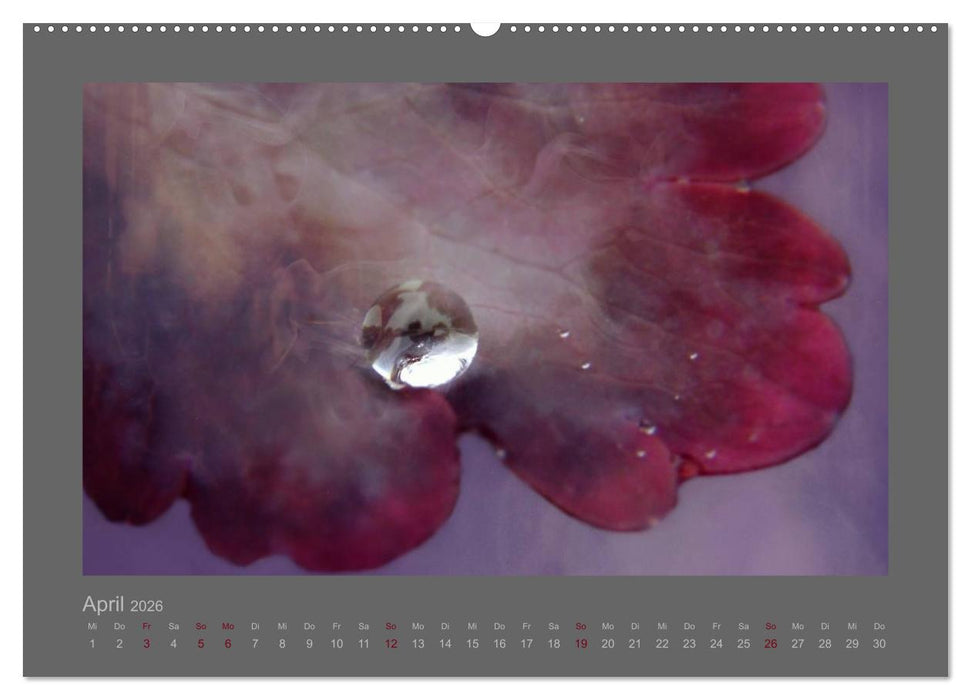 Kleine, große Tropfenwelt (CALVENDO Wandkalender 2026)