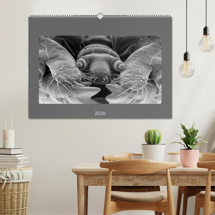 Erlebnis Mikrokosmos (CALVENDO Wandkalender 2026)