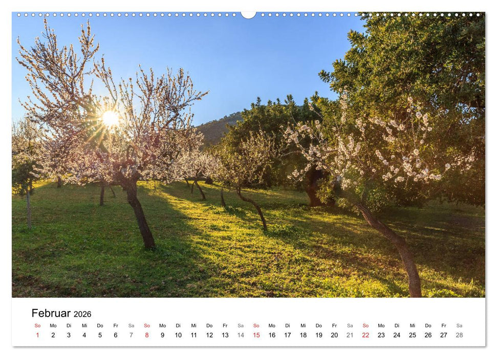 Europa im schönsten Licht (CALVENDO Premium Wandkalender 2026)