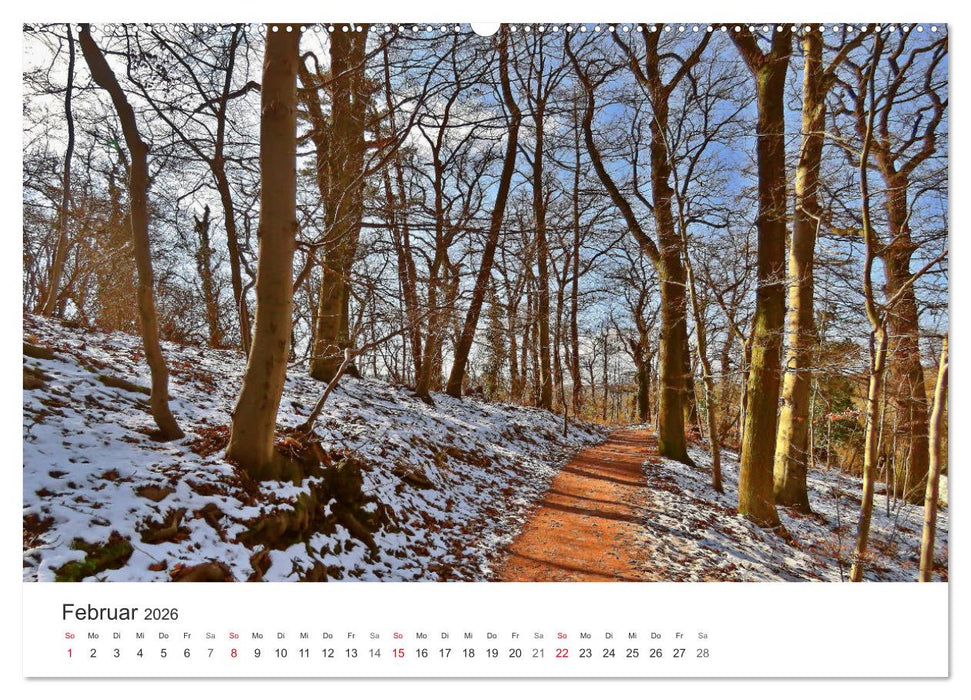 Wege durchs Jahr- Zitate begleiten auf romantisch schönen Wegen (CALVENDO Premium Wandkalender 2026)