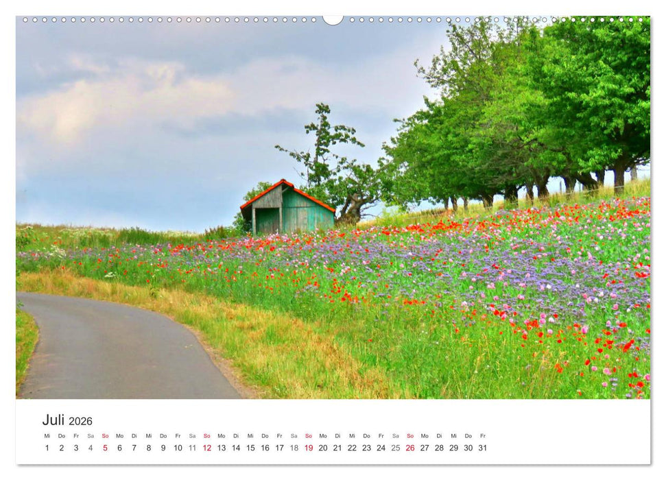 Wege durchs Jahr- Zitate begleiten auf romantisch schönen Wegen (CALVENDO Premium Wandkalender 2026)