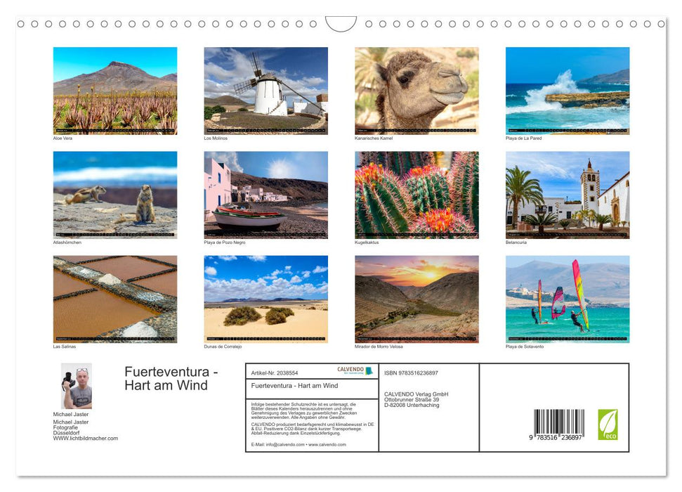 Fuerteventura - Hart am Wind (CALVENDO Wandkalender 2026)