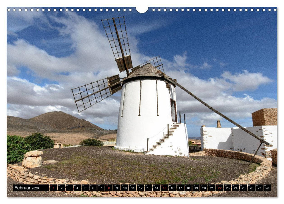 Fuerteventura - Hart am Wind (CALVENDO Wandkalender 2026)