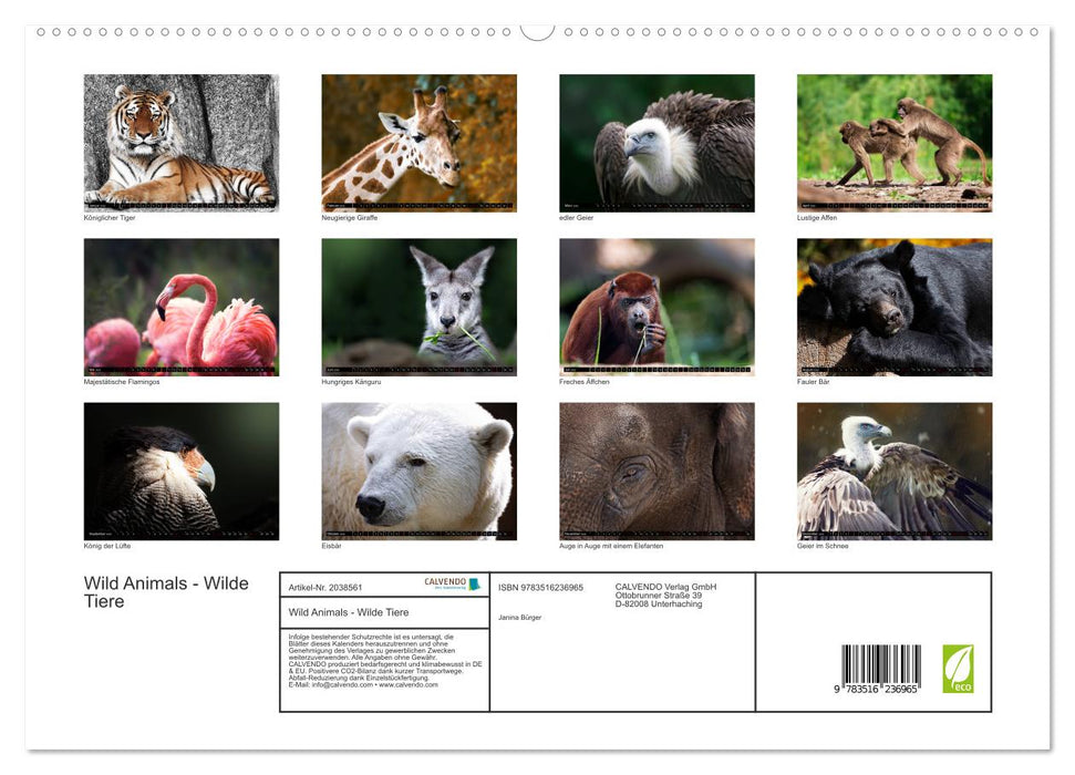 Wild Animals - Wilde Tiere (CALVENDO Premium Wandkalender 2026)