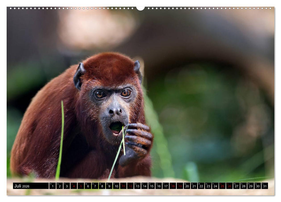 Wild Animals - Wilde Tiere (CALVENDO Premium Wandkalender 2026)