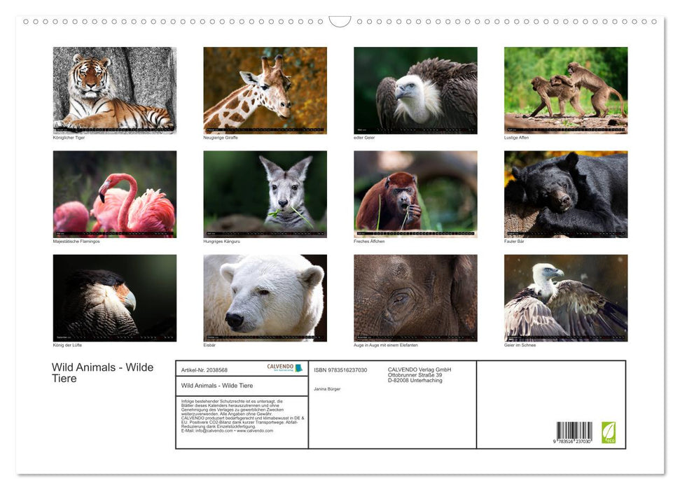 Wild Animals - Wilde Tiere (CALVENDO Wandkalender 2026)