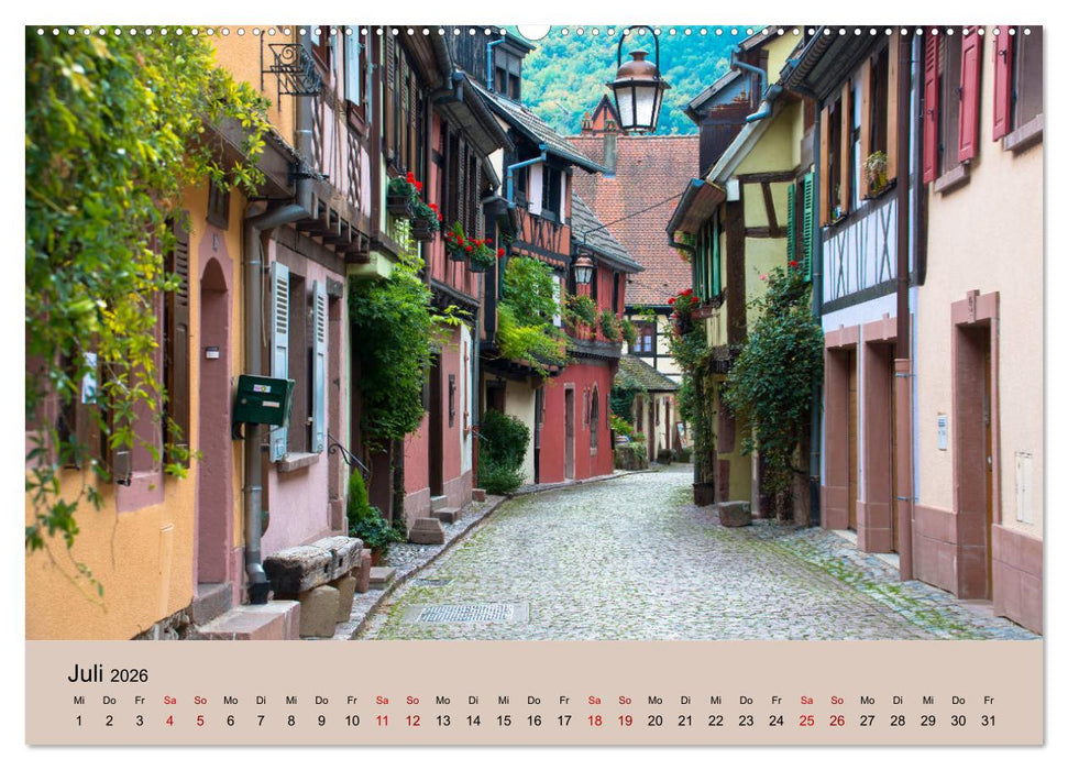 Die Weinstaße im Elsass (CALVENDO Premium Wandkalender 2026)